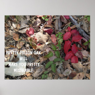 Pretty Poison Oak Warning Poster