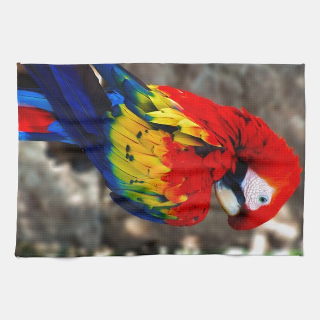 Pretty Polly Parrot Tea Towel (Horizontal)