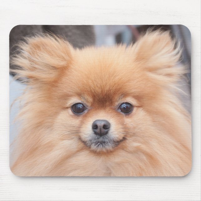 Pretty Pomeranian Mouse Pad (Front)
