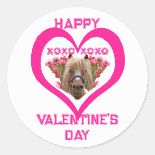 Pretty Pony in Pink Valentine's Day for Kids Classic Round Sticker