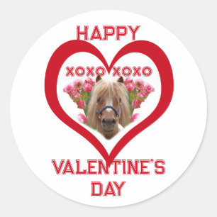 Pretty Pony in Red Valentine's Day for Kids Classic Round Sticker