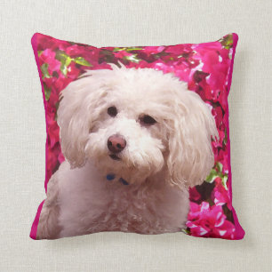Pretty Poodle Cushion