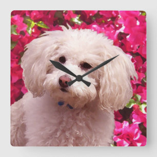 Pretty Poodle Square Wall Clock