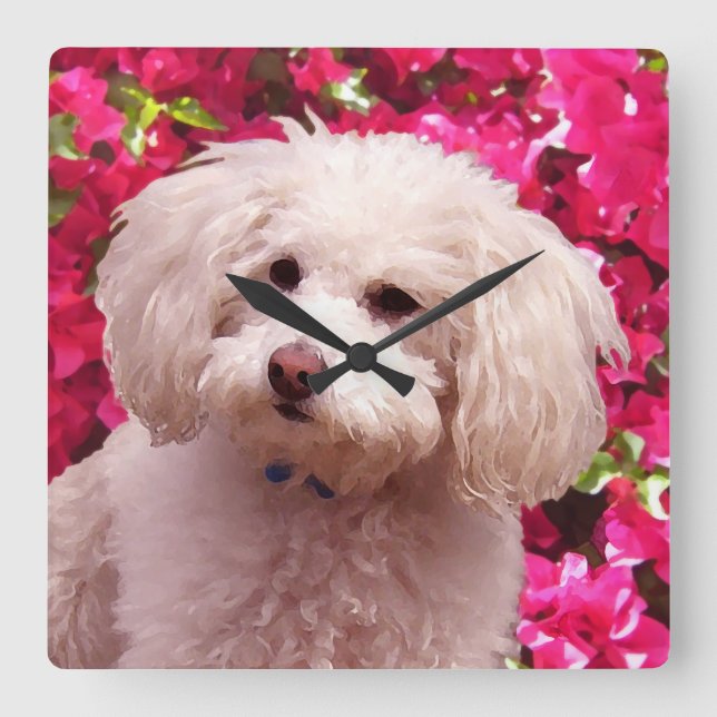 Pretty Poodle Square Wall Clock (Front)
