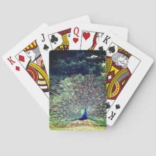 Pretty Preening Peacock Playing Cards