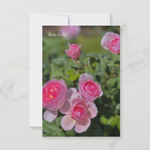 Pretty Pretty Pink Roses Card