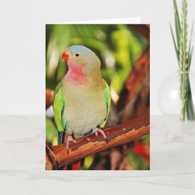 Pretty princess parakeet greeting card (Front)