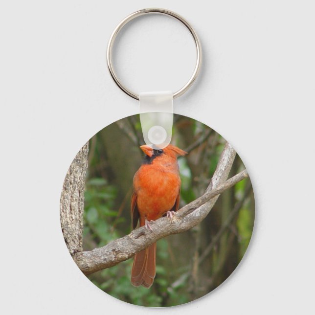 Pretty Profile Northern Cardinal Bird Keychain (Front)