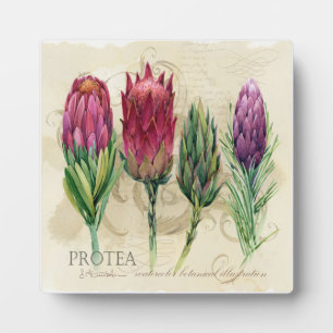 Pretty Protea Plaque