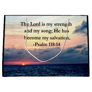 PRETTY PSALM 118 14 SUNRISE OVER THE OCEAN LARGE GIFT BAG