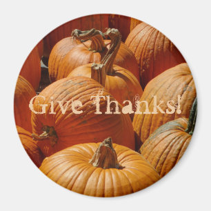 Pretty Pumpkins in the Patch on a Magnet
