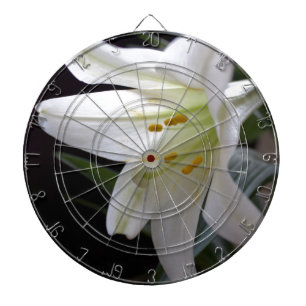 Pretty, pure white Easter lily flower in black Dartboard