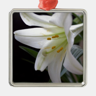 Pretty, pure white Easter lily flower in black Metal Tree Decoration