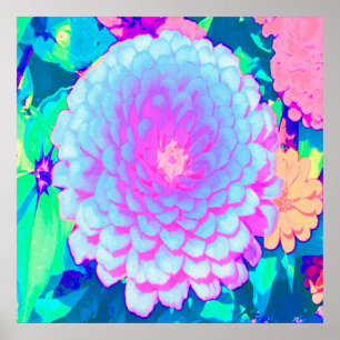 Pretty Purple and Pink Zinnia in the Summer Garden Poster