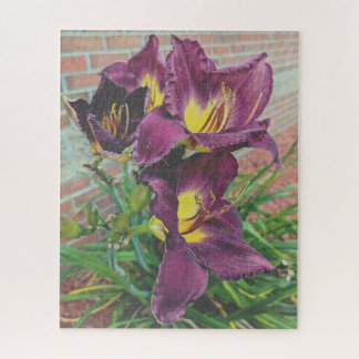 Pretty Purple Burgundy Day Lilies Jigsaw Puzzle