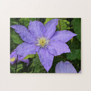 Pretty Purple Clematis Blossom Jigsaw Puzzle