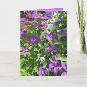 Pretty Purple Clematis Floral Blank Card