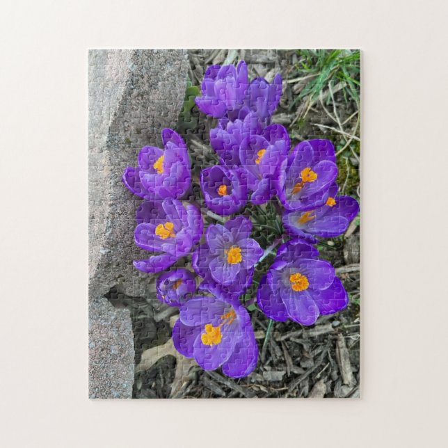 Pretty Purple Crocus Flowers in Garden Puzzles (Vertical)