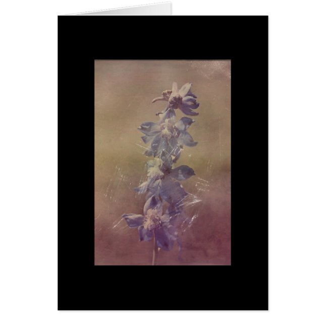 Pretty Purple Flower Grunge (Front)