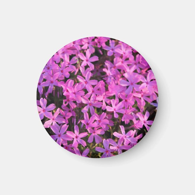 Pretty Purple Flowers Magnet (Front)