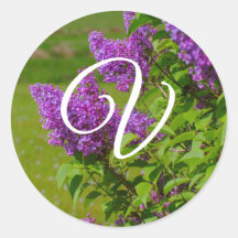 Pretty Purple Flowers, Monogram Envelope Seals