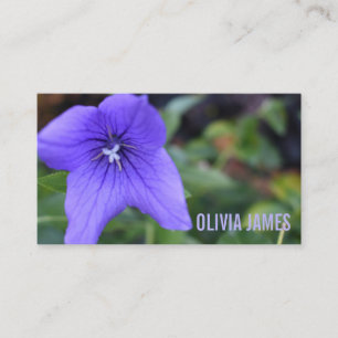 Pretty Purple Flowers Nature Garden Photography Business Card