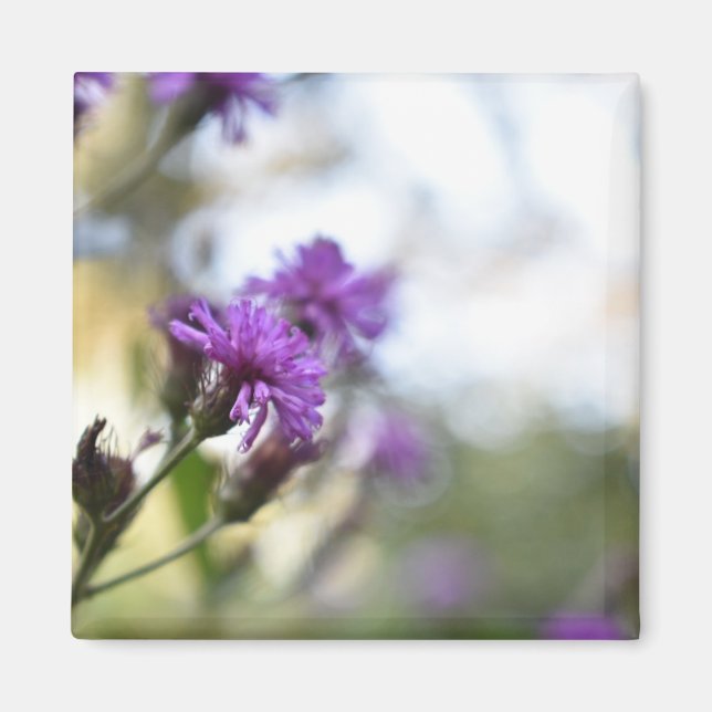 Pretty Purple Flowers Original Garden Photography Magnet (Front)