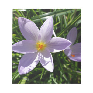 Pretty purple garden flower. 美丽的紫色花 notepad