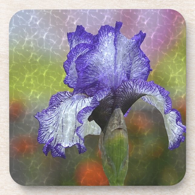 Pretty Purple Iris Coaster (Front)