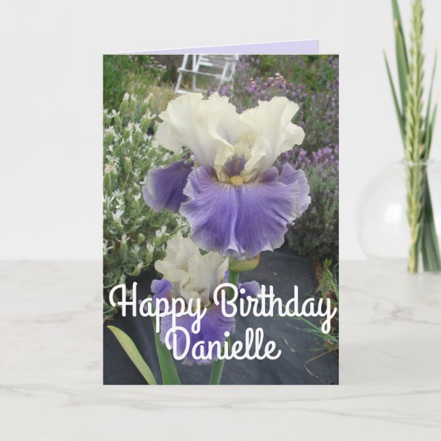 Pretty Purple Iris Flower Photo Birthday Card (Front)