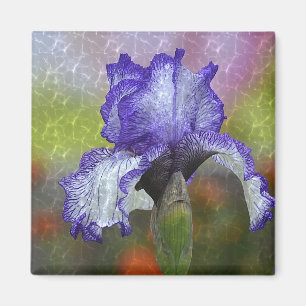 Pretty Purple Iris Magnet