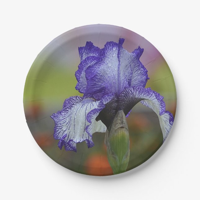 Pretty Purple Iris Paper Plate (Front)