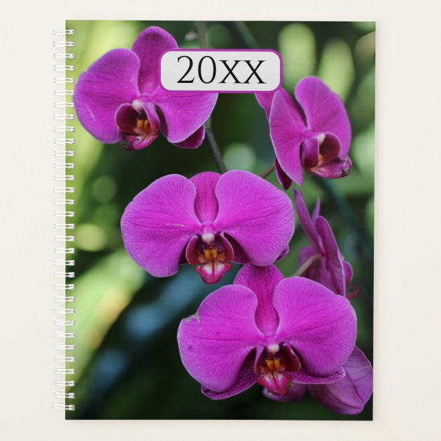 Pretty Purple Orchids Custom Year Floral Planner (Front)