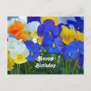 Pretty Purple Pansies Floral Photo Birthday Postcard