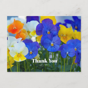 Pretty Purple Pansies Floral Photo Thank You Postcard