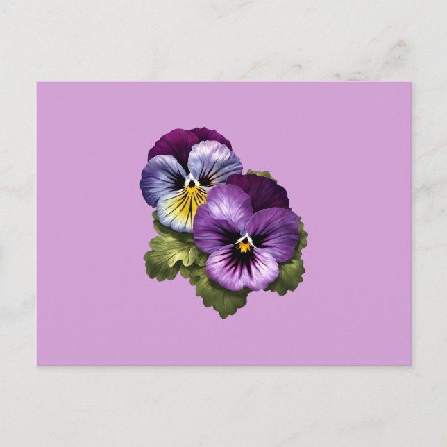 Pretty Purple Pansies Postcard (Front)