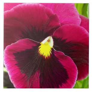 Pretty Purple Pansy Floral Ceramic Tile