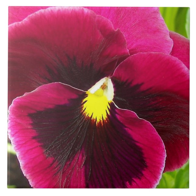 Pretty Purple Pansy Floral Ceramic Tile (Front)