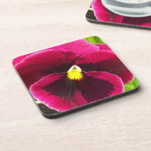 Pretty Purple Pansy Floral Coaster