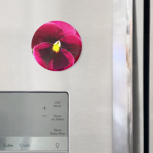 Pretty Purple Pansy Floral Magnet