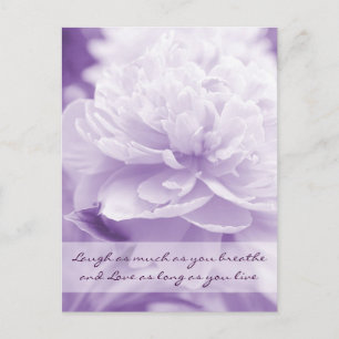 Pretty Purple Peony Postcard