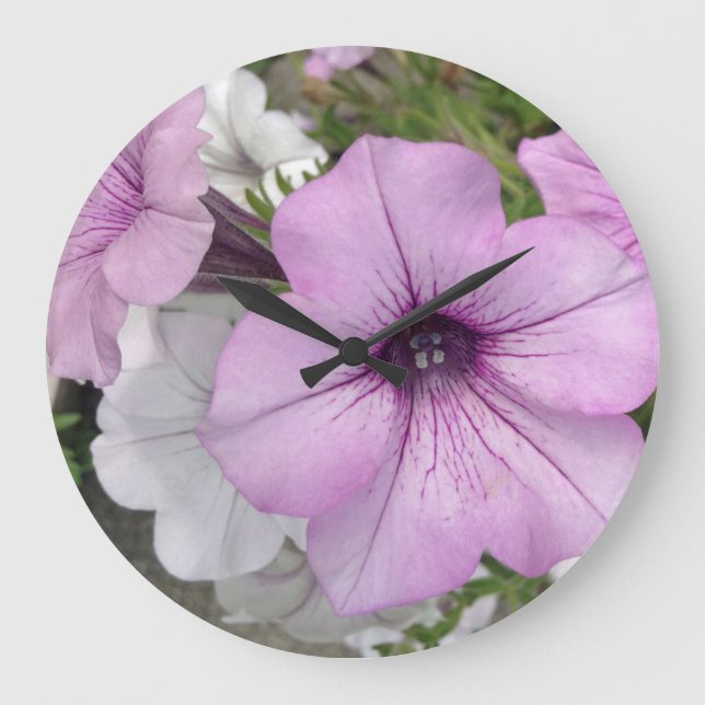 Pretty Purple Petunia Photo Wall Clock (Front)