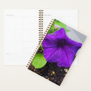 Pretty Purple Petunia Planner - Original Photo