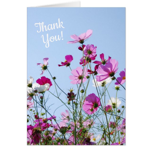 Pretty Purple Wild Flowers Meadow Thank You (Front)