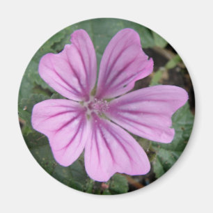 Pretty Purple Wildflower Magnet