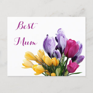 Pretty purple yellow pink tulip flowers for mum holiday postcard