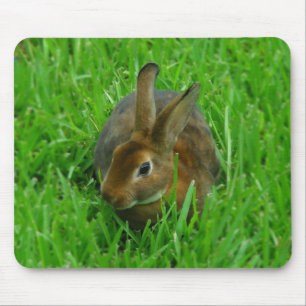 Pretty Rabbit Mouse Pad