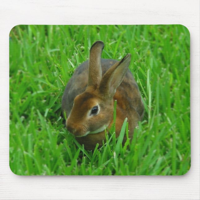 Pretty Rabbit Mouse Pad (Front)