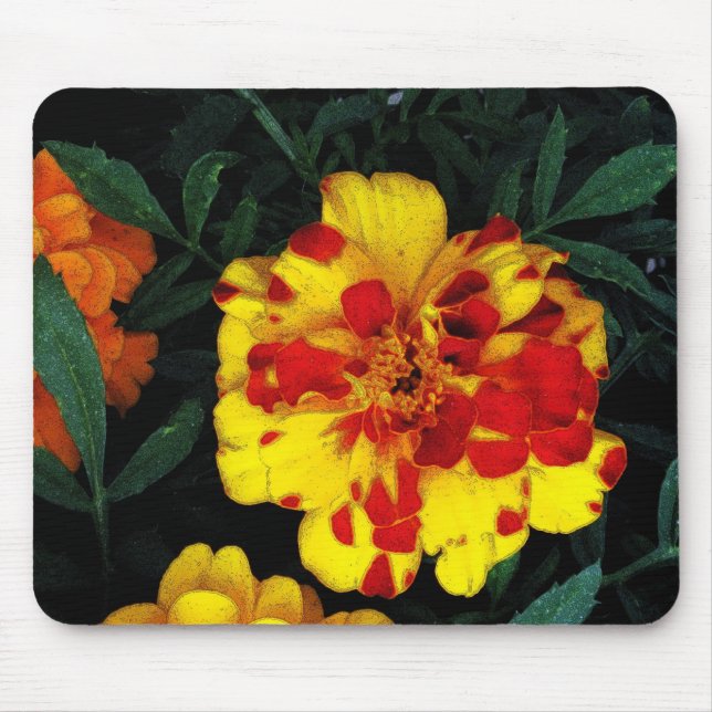 Pretty Red and Yellow Marigold Flowers Mouse Pad (Front)