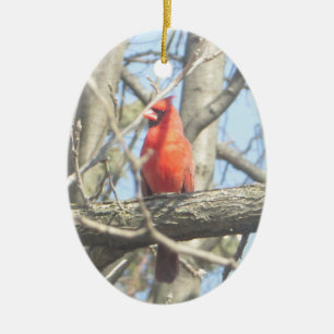 Pretty Red Cardinal Christmas Ceramic Ornament